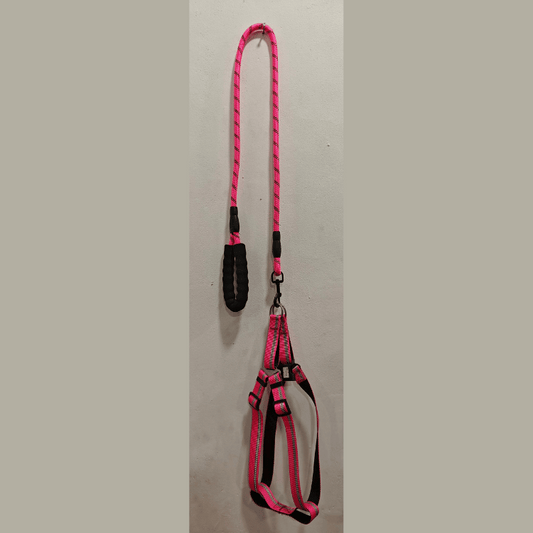 Long Leash with Harness for Medium Sized Dogs in Pink 