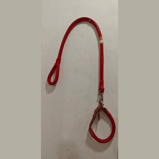 Long Leather Leash with Collar for Medium Sized Dogs