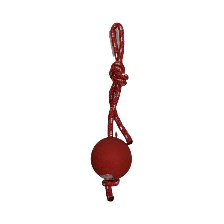 Dog Chew Toy with Red Ball