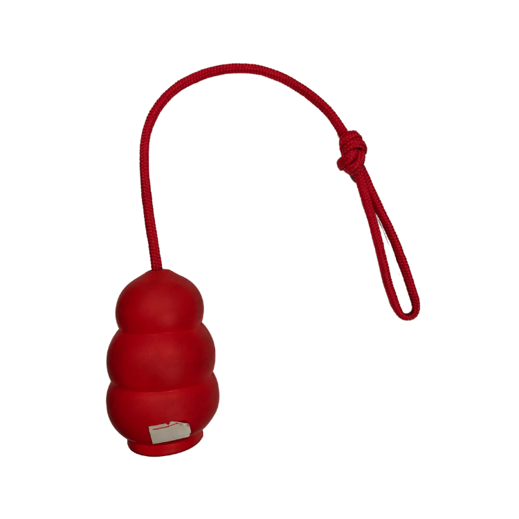 Dog Chew Toy (Red Toy with Rope)