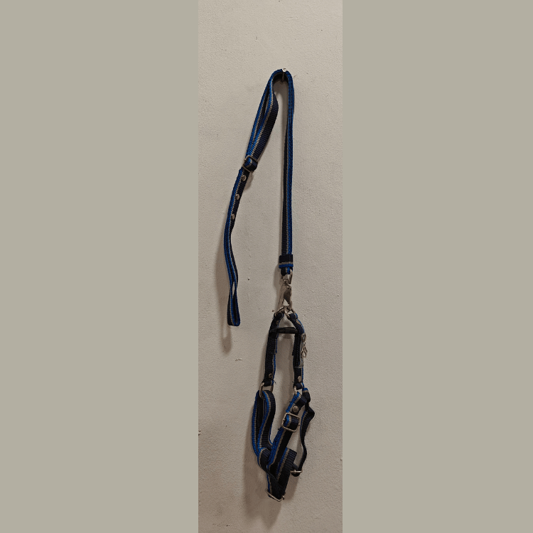 Long Strap Leash with Harness for Medium Sized Dogs