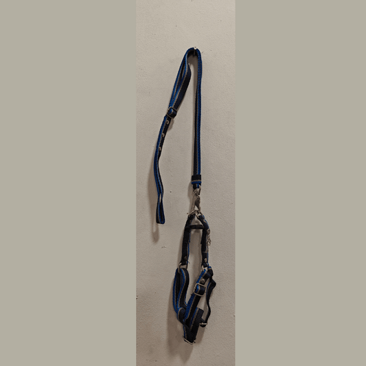 Long Strap Leash with Harness for Medium Sized Dogs