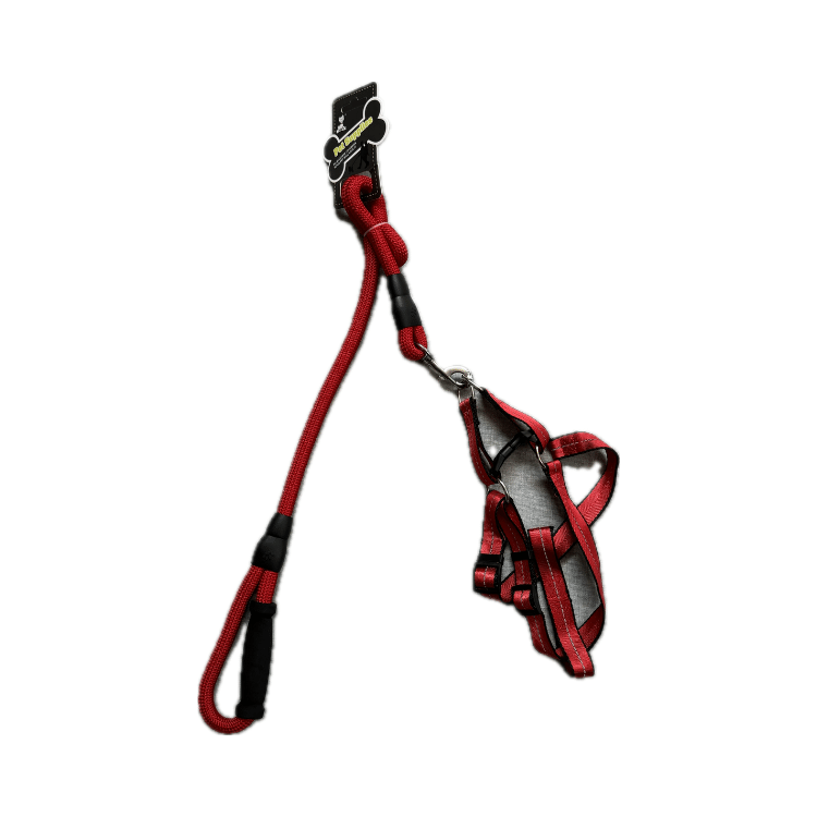 Long Dog Leash with Harness for Medium Sized Dogs Red Colour