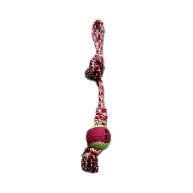 Dog Rope Toy with Tennis Ball