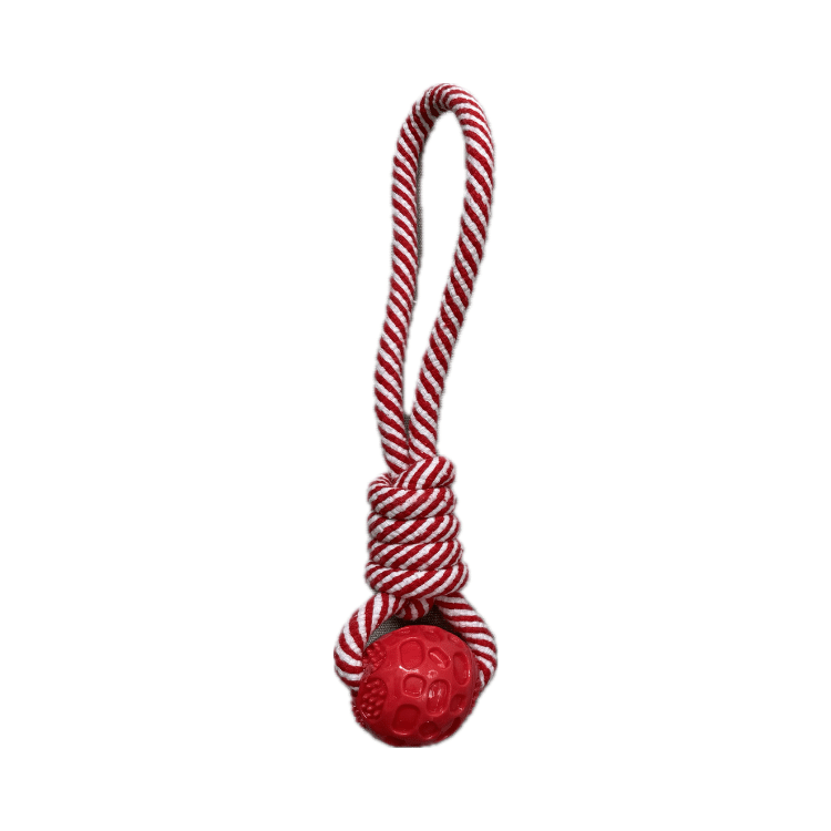 Dog Rope Toy with Ball