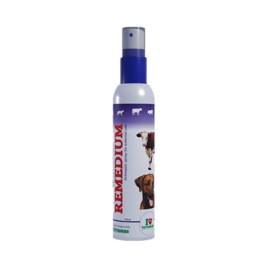 Remedium Anti-Septic Spray 100ml