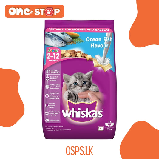 Whiskas Kitten Cat Dry Food - Ocean Fish