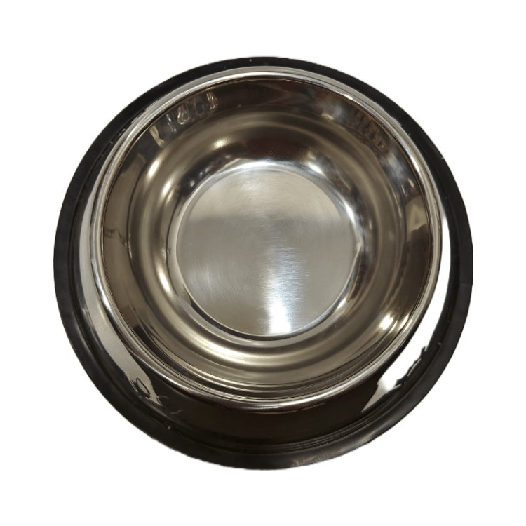 Premium Metallic Pet Food Bowl (Small Size) Silver  Colour