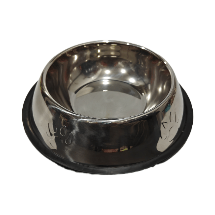 Premium Metallic Pet Food Bowl (Small Size) Silver  Colour